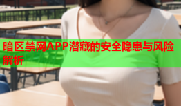 暗区禁网APP潜藏的安全隐患与风险解析