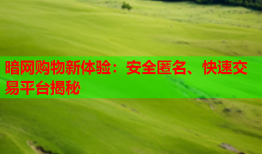 暗网购物新体验：安全匿名、快速交易平台揭秘