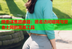 探索洋葱路由器：匿名访问暗网与安全上网的完美工具