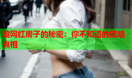 暗网红房子的秘密：你不知道的黑暗真相