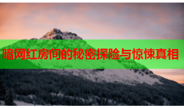 暗网红房间的秘密探险与惊悚真相