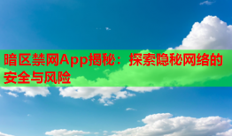 暗区禁网App揭秘：探索隐秘网络的安全与风险