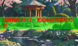 暗网探秘2017：黑暗中的真实与幻影