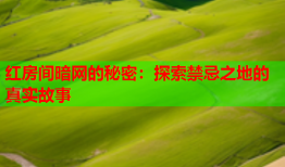 红房间暗网的秘密：探索禁忌之地的真实故事