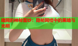 暗网的神秘面纱：隐秘网络中的黑暗与光明