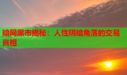 暗网黑市揭秘：人性阴暗角落的交易真相