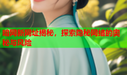 暗网新网址揭秘，探索隐秘网络的奥秘与风险