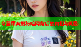 章莹颖案揭秘暗网背后的真相与阴影