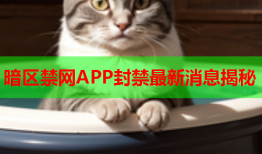 暗区禁网APP封禁最新消息揭秘