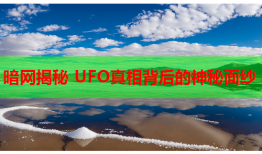 暗网揭秘 UFO真相背后的神秘面纱