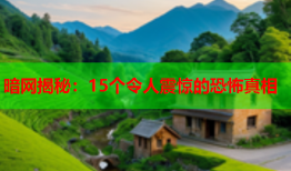 暗网揭秘：15个令人震惊的恐怖真相