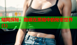 暗网探秘：隐藏在黑暗中的秘密世界(1)