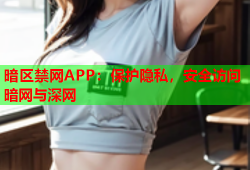 暗区禁网APP：保护隐私，安全访问暗网与深网