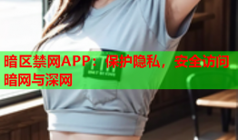 暗区禁网APP：保护隐私，安全访问暗网与深网