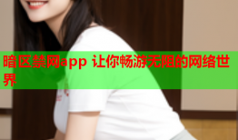 暗区禁网app 让你畅游无阻的网络世界