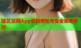 暗区禁网App密码揭秘与安全策略探讨