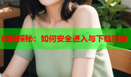 暗网探秘：如何安全进入与下载指南