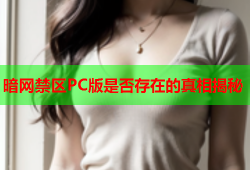 暗网禁区PC版是否存在的真相揭秘