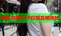 暗区禁网APP权限真相揭秘