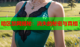 暗区禁网揭秘：消失的秘密与真相