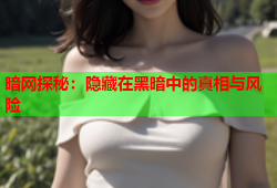 暗网探秘：隐藏在黑暗中的真相与风险