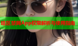 暗区禁网App权限解析与使用指南