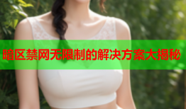 暗区禁网无限制的解决方案大揭秘