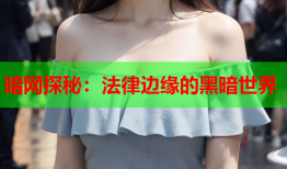 暗网探秘：法律边缘的黑暗世界