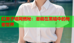 红房子暗网揭秘：潜藏在黑暗中的秘密世界