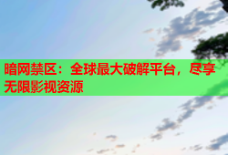 暗网禁区：全球最大破解平台，尽享无限影视资源