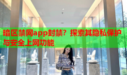 暗区禁网app封禁？探索其隐私保护与安全上网功能