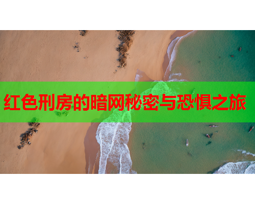 红色刑房的暗网秘密与恐惧之旅