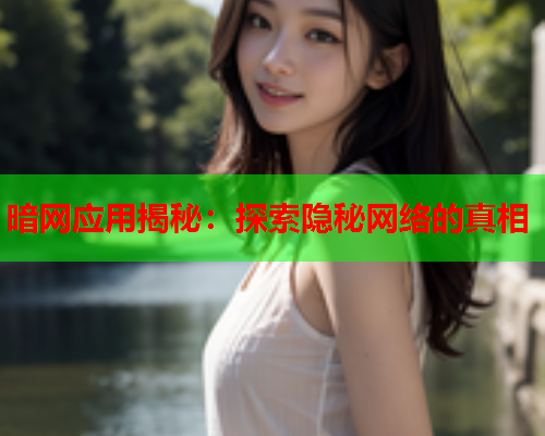 暗网应用揭秘：探索隐秘网络的真相