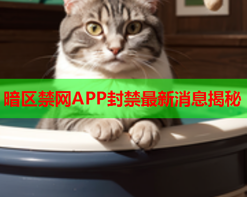 暗区禁网APP封禁最新消息揭秘