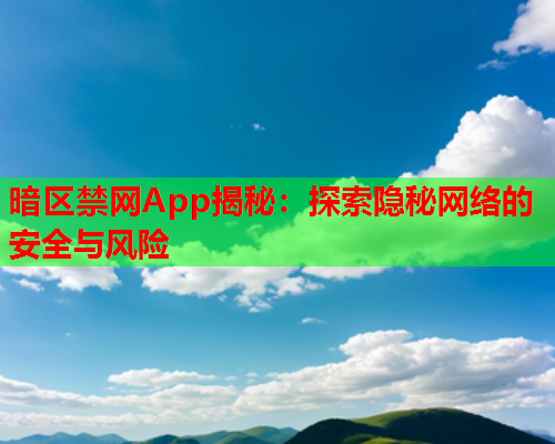 暗区禁网App揭秘：探索隐秘网络的安全与风险