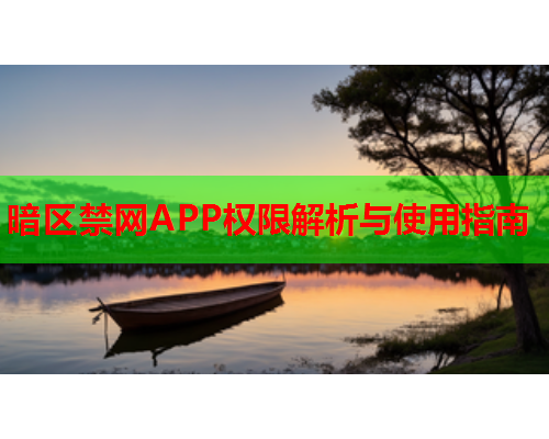 暗区禁网APP权限解析与使用指南