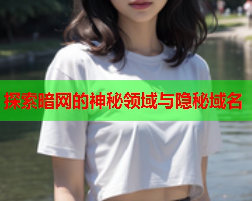 探索暗网的神秘领域与隐秘域名