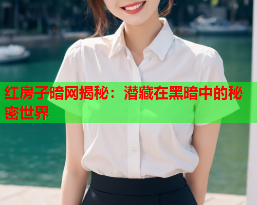 红房子暗网揭秘：潜藏在黑暗中的秘密世界