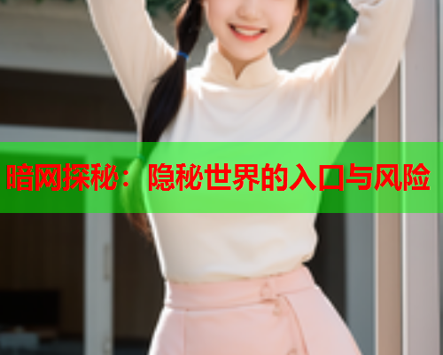 暗网探秘：隐秘世界的入口与风险