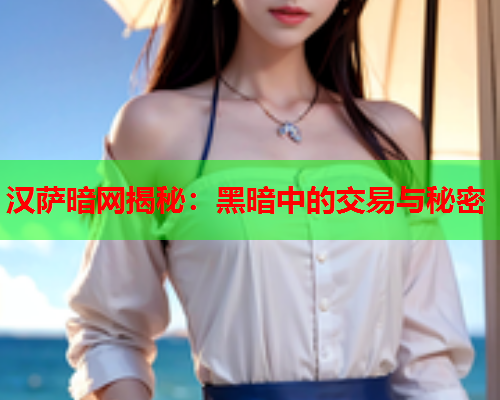 汉萨暗网揭秘：黑暗中的交易与秘密