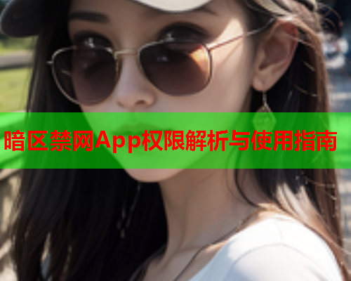 暗区禁网App权限解析与使用指南