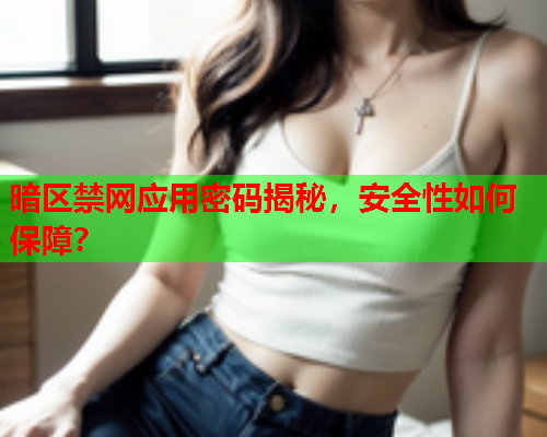 暗区禁网应用密码揭秘，安全性如何保障？