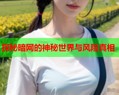 探秘暗网的神秘世界与风险真相