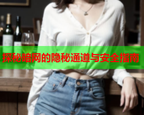 探秘暗网的隐秘通道与安全指南