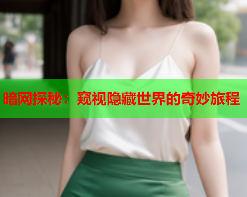 暗网探秘：窥视隐藏世界的奇妙旅程