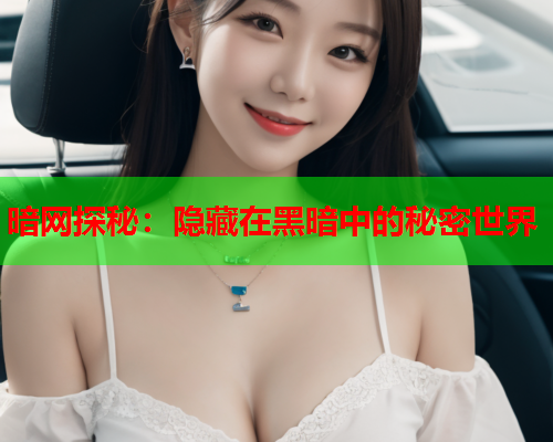 暗网探秘：隐藏在黑暗中的秘密世界