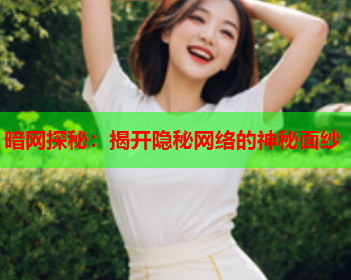 暗网探秘：揭开隐秘网络的神秘面纱