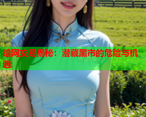 暗网交易揭秘：潜藏黑市的危险与机遇