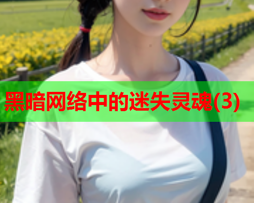 黑暗网络中的迷失灵魂(3)