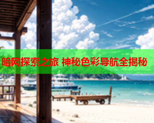 暗网探索之旅 神秘色彩导航全揭秘